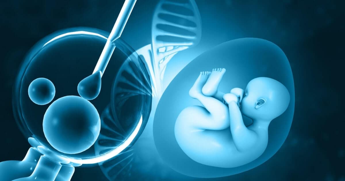 IVF fertility treatment consultation