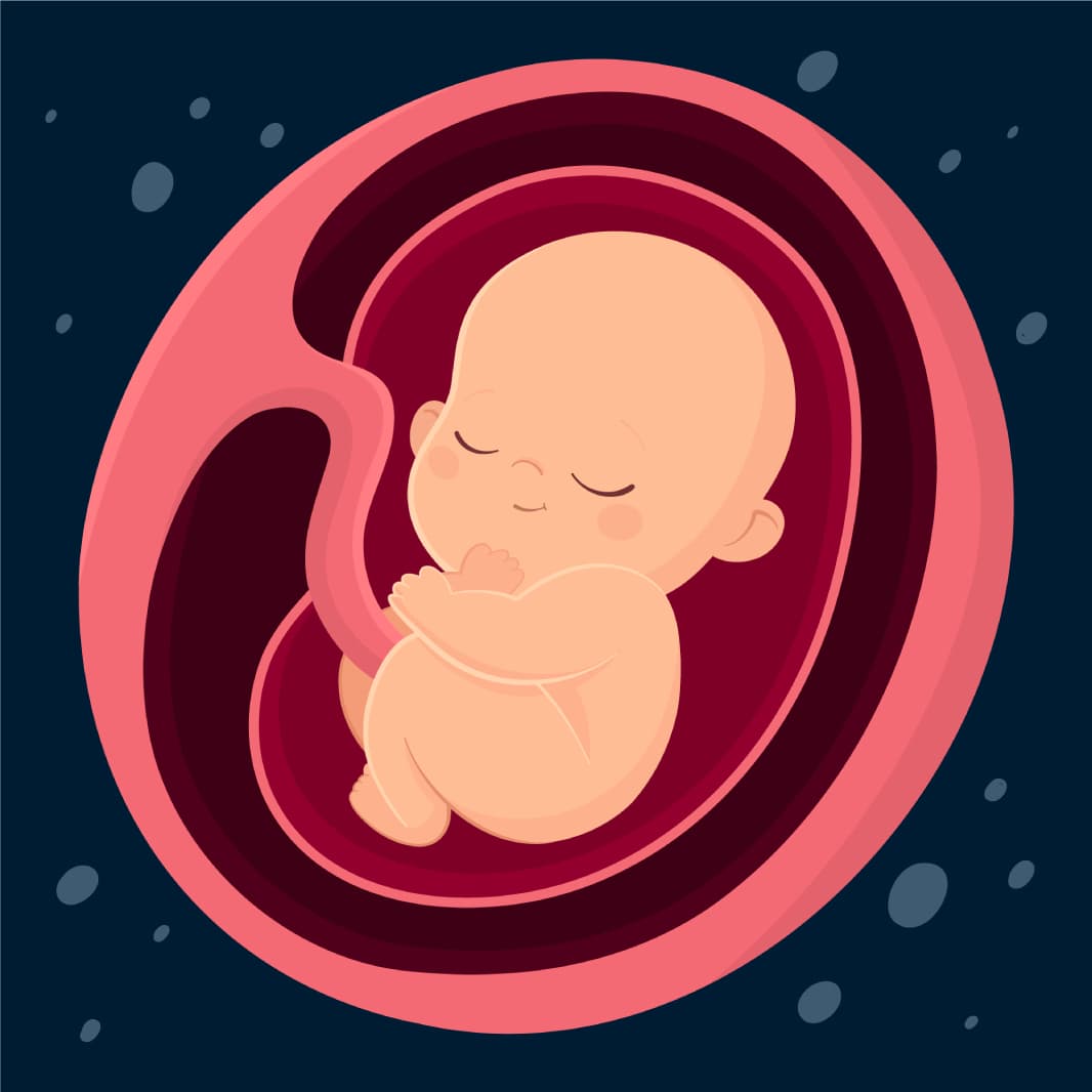 IVF प्रक्रिया र प्राकृतिक अवधारणा मार्फत जन्मेका बच्चाहरू बीचको भिन्नता