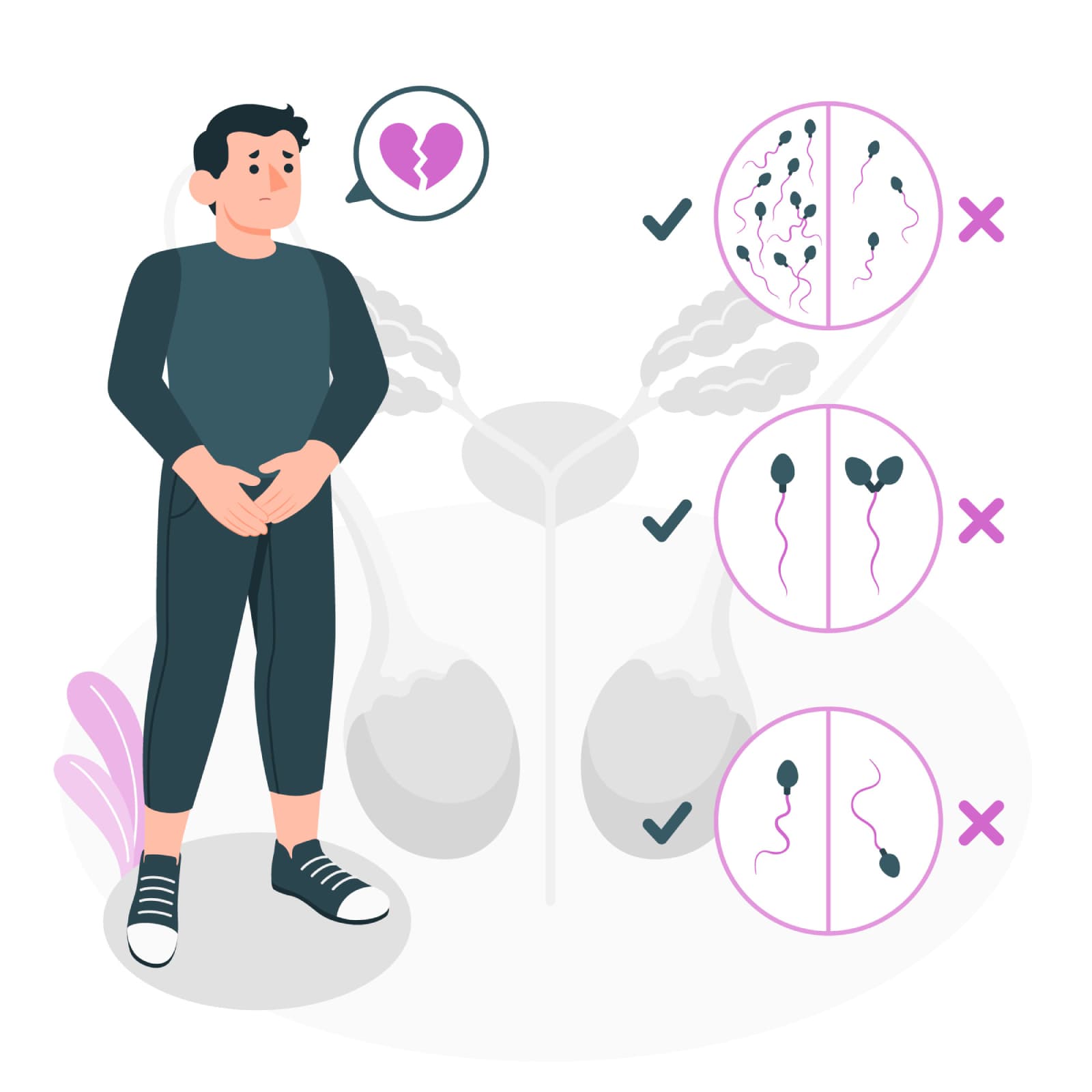 The Vital Role of Testosterone Hormone in Male Fertility