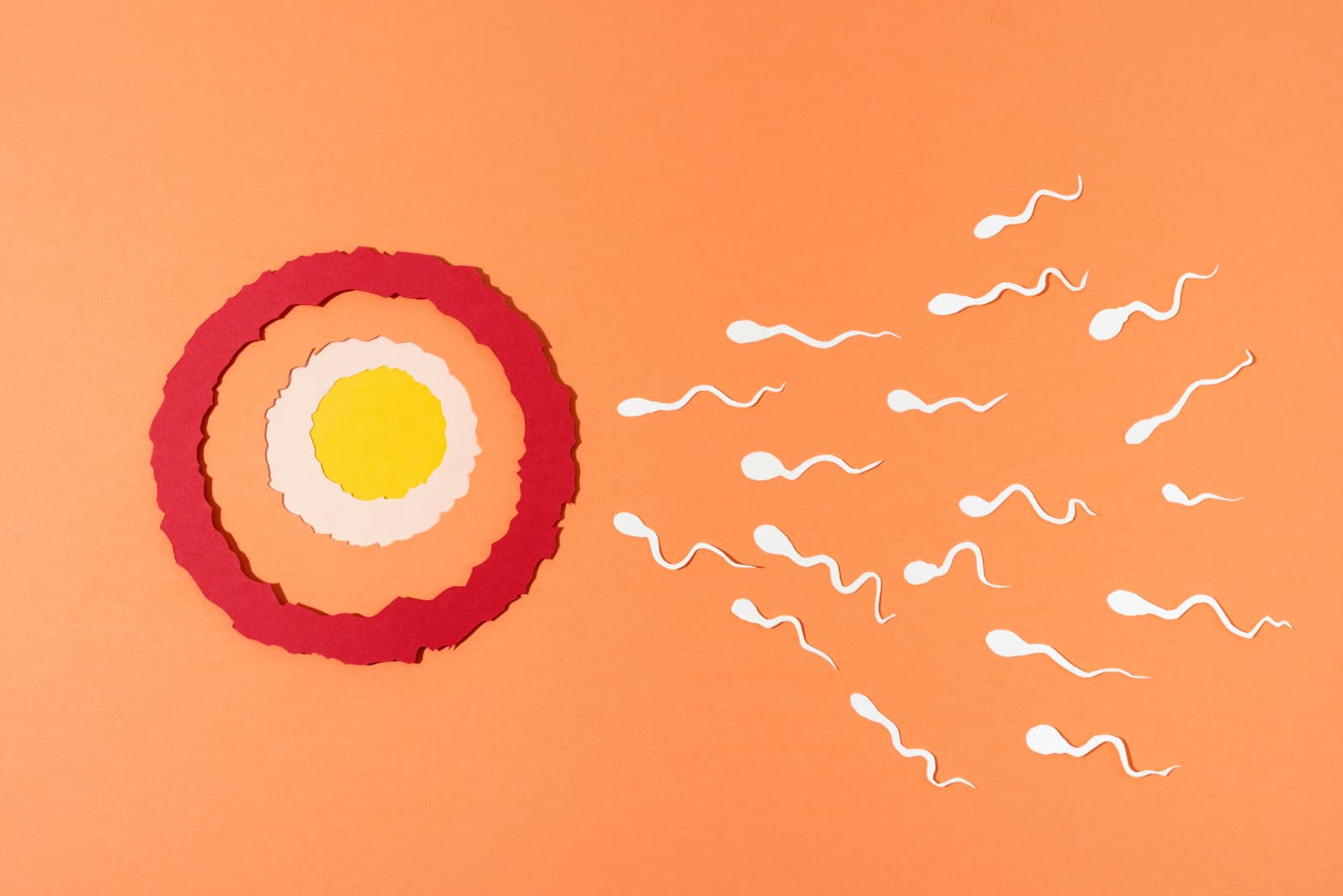 10 Ways to Preserve Your Egg Quality