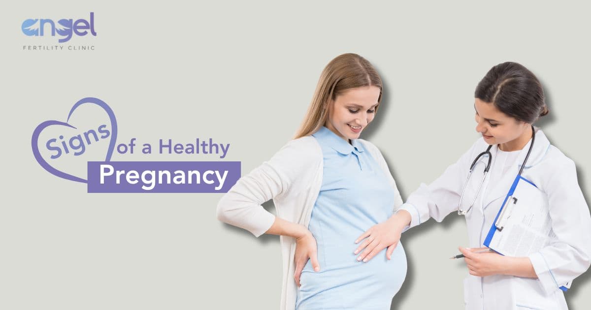 Key Signs of a Healthy Pregnancy: Essential Indicators