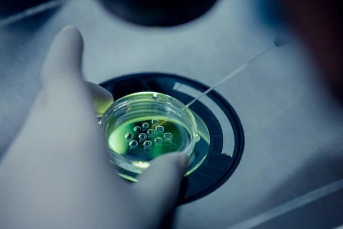 Embryo culture dish being prepared in the IVF laboratory